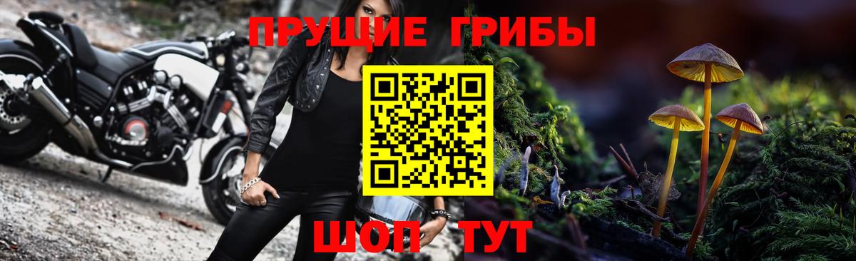 Галлюциногенные грибы Cubensis Волжский
