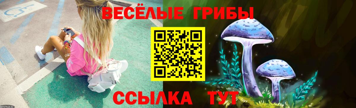 Волжский  Псилоцибиновые грибы MAGIC MUSHROOMS  Вход с VPN  Галлюциногенные грибы MAGIC MUSHROOMS 